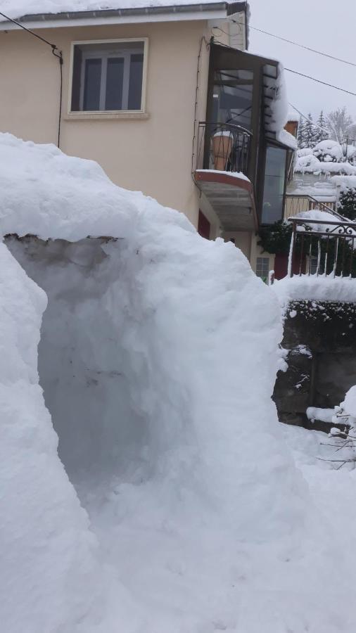 Les Planchettes Villa Orcival Kültér fotó